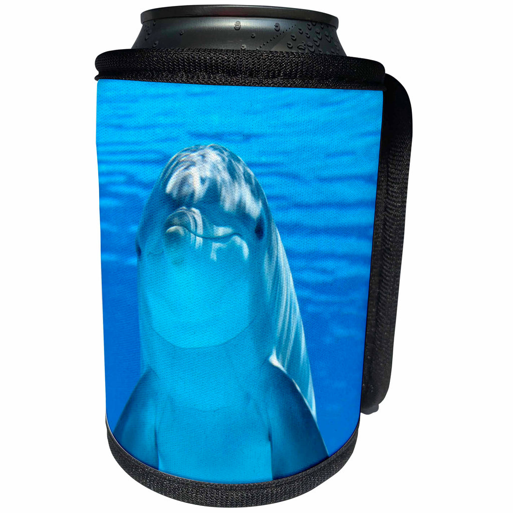 3dRose Sven Herkenrath Sealife - Blue Dolphin in the Sealife - Can Cooler Bottle Wrap (cc_236540)