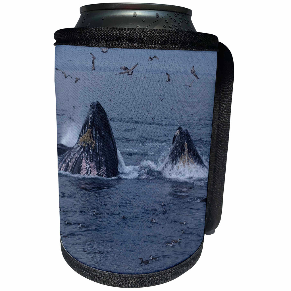 3dRose Sven Herkenrath Sealife - Two Whale in the Sealife from America - Can Cooler Bottle Wrap (cc_236545)