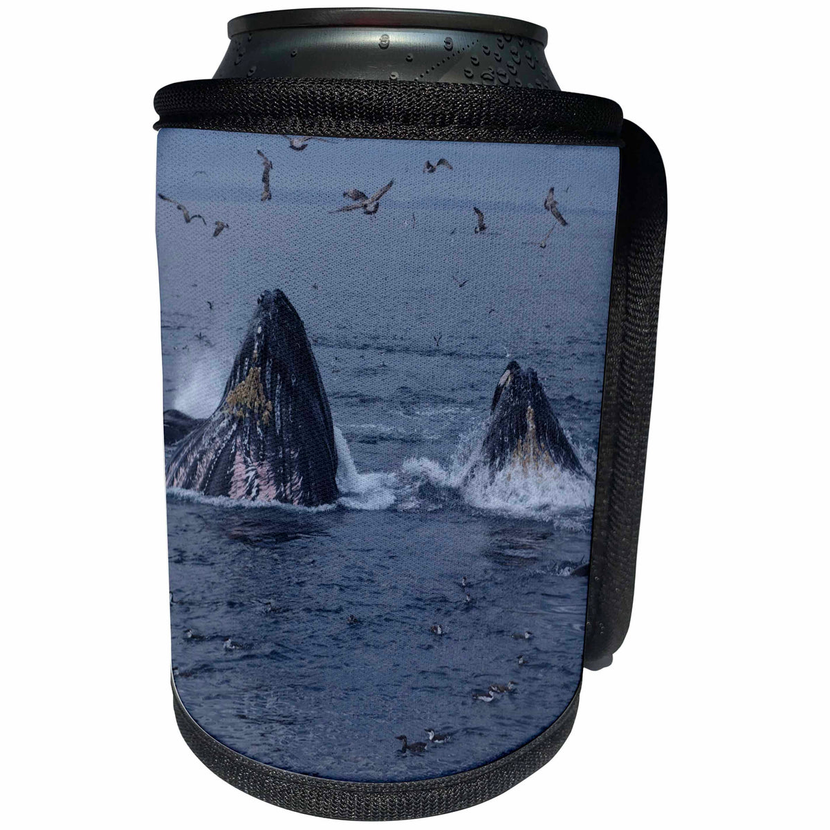 3dRose Sven Herkenrath Sealife - Two Whale in the Sealife from America - Can Cooler Bottle Wrap (cc_236545)