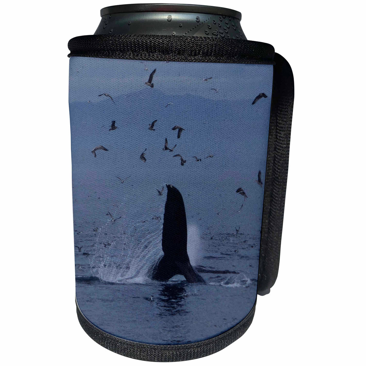 3dRose Sven Herkenrath Sealife - Whale Fin in the Sealife - Can Cooler Bottle Wrap (cc_236546)