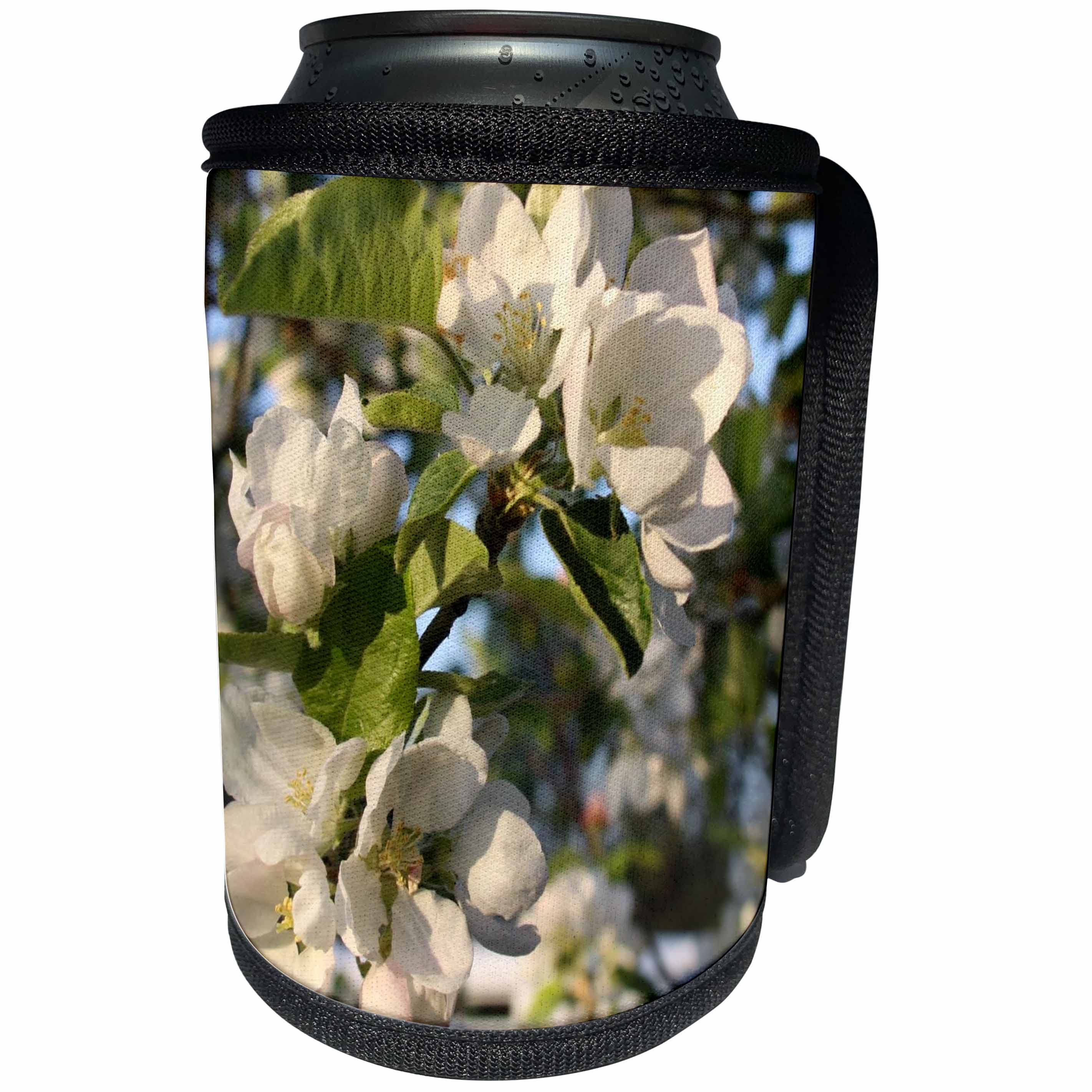 3dRose Patricia Sanders Flowers - Spring Flowers - Can Cooler Bottle Wrap (cc_23678)