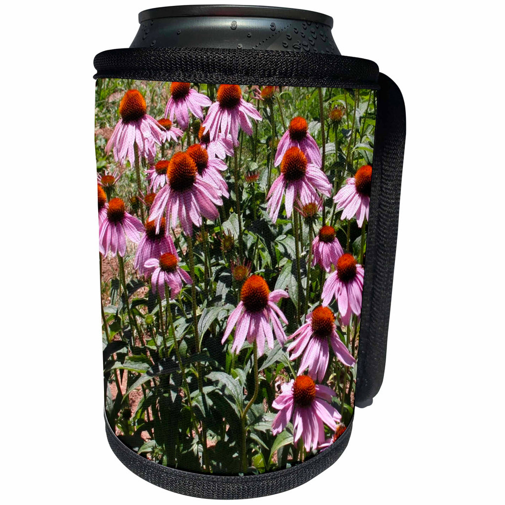 3dRose Patricia Sanders Flowers - Purple Coneflowers - Can Cooler Bottle Wrap (cc_23680)