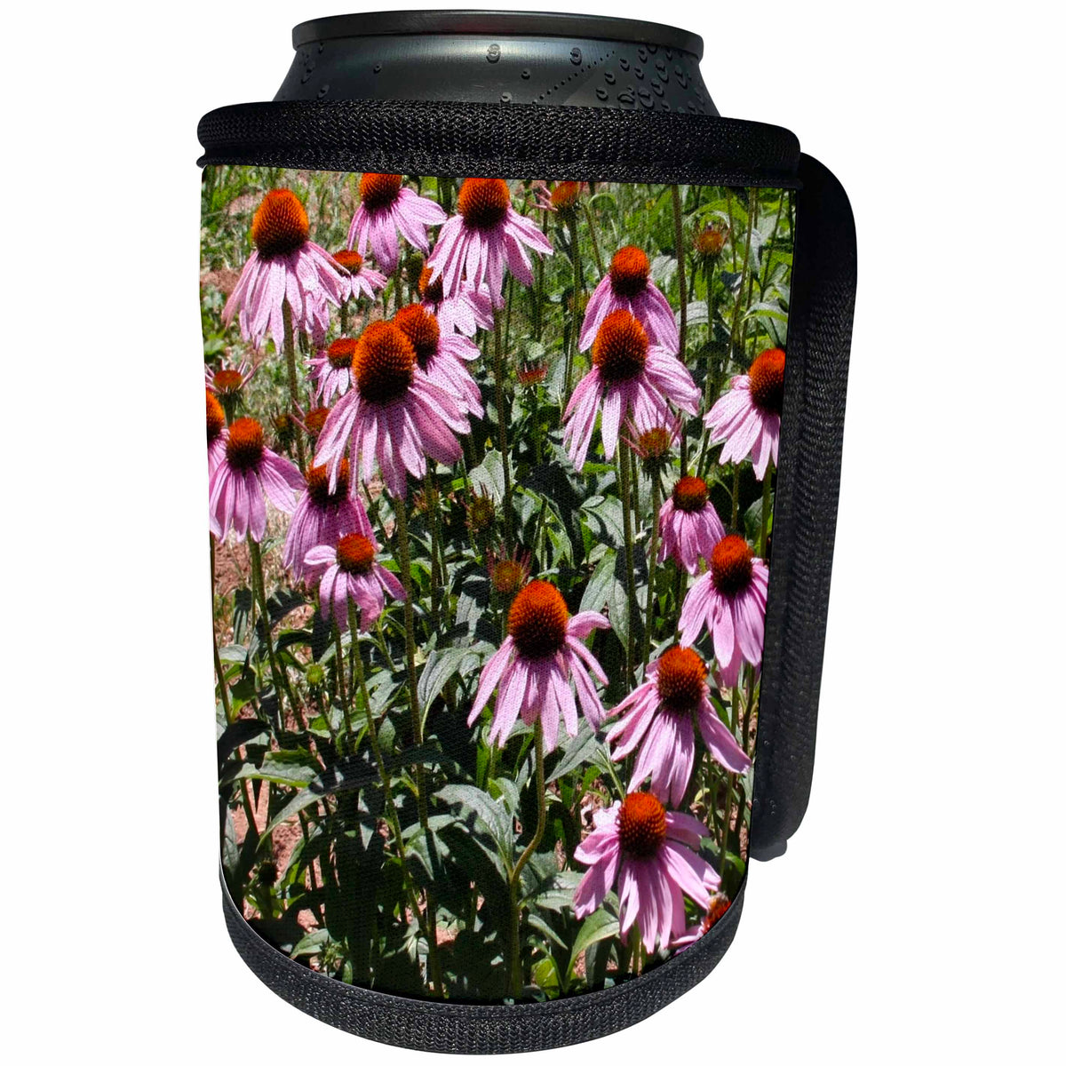 3dRose Patricia Sanders Flowers - Purple Coneflowers - Can Cooler Bottle Wrap (cc_23680)