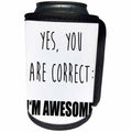 3dRose Carsten Reisinger - Illustrations - Yes you are correct, I am awesome. - Can Cooler Bottle Wrap (cc_237359)