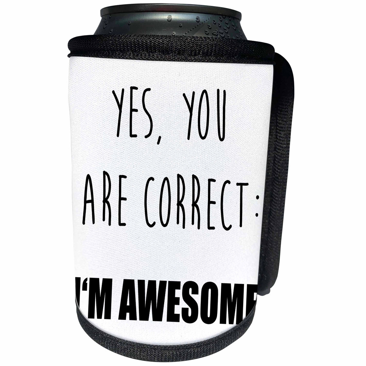 3dRose Carsten Reisinger - Illustrations - Yes you are correct, I am awesome. - Can Cooler Bottle Wrap (cc_237359)
