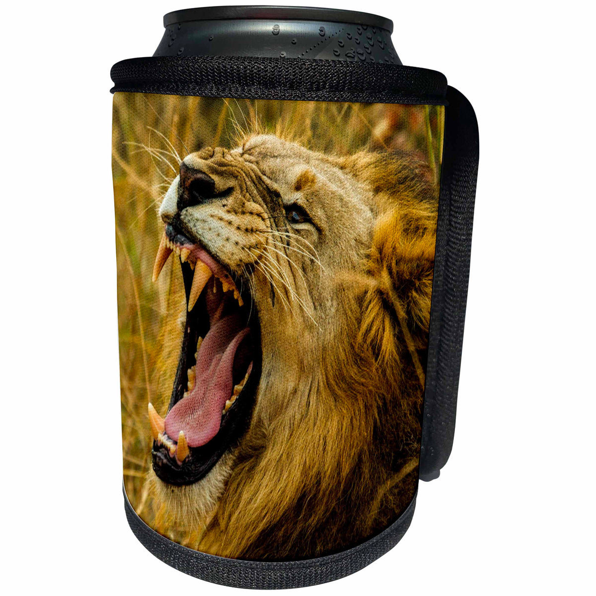3dRose Sven Herkenrath Animal - Dangerous Lion in the Nature - Can Cooler Bottle Wrap (cc_238342)