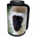 3dRose Sven Herkenrath Animal - Exotic and Tropical Monkey - Can Cooler Bottle Wrap (cc_238347)