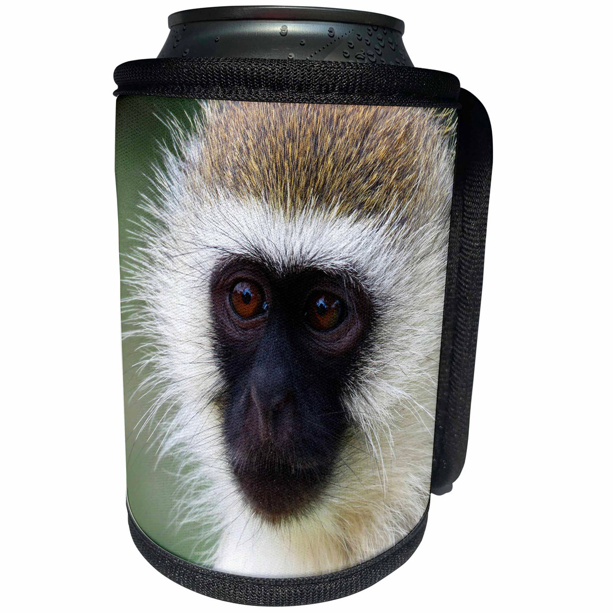 3dRose Sven Herkenrath Animal - Exotic and Tropical Monkey - Can Cooler Bottle Wrap (cc_238347)