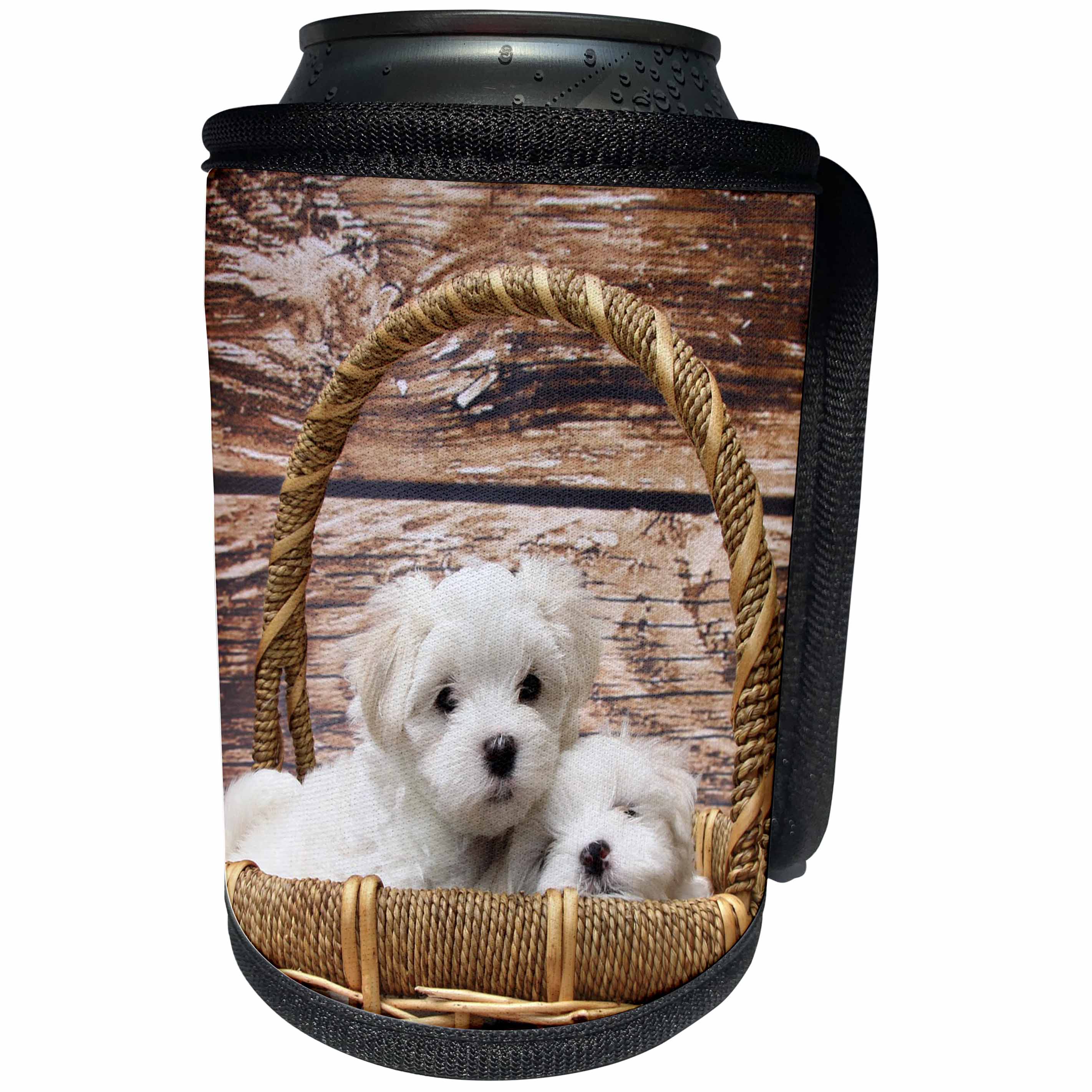 3dRose RinaPiro - Dogs - Maltese. Puppy. Adorable white dogs. - Can Cooler Bottle Wrap (cc_238368)