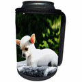 3dRose RinaPiro - Dogs - Chihuahua. Puppy. Cute. Popular breed. - Can Cooler Bottle Wrap (cc_238370)