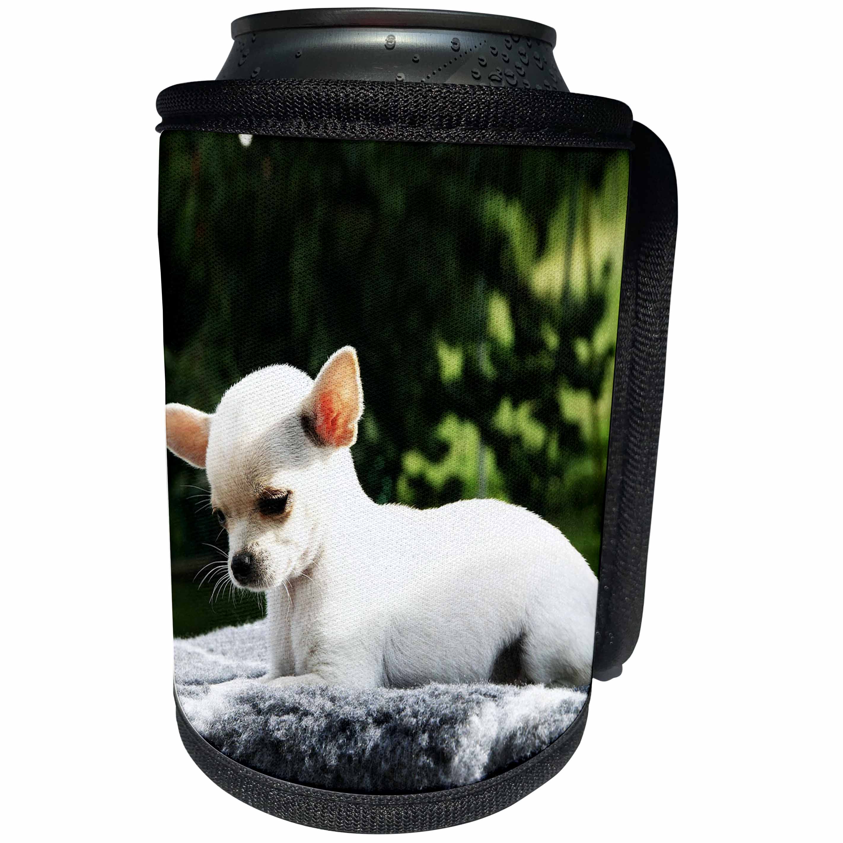 3dRose RinaPiro - Dogs - Chihuahua. Puppy. Cute. Popular breed. - Can Cooler Bottle Wrap (cc_238370)