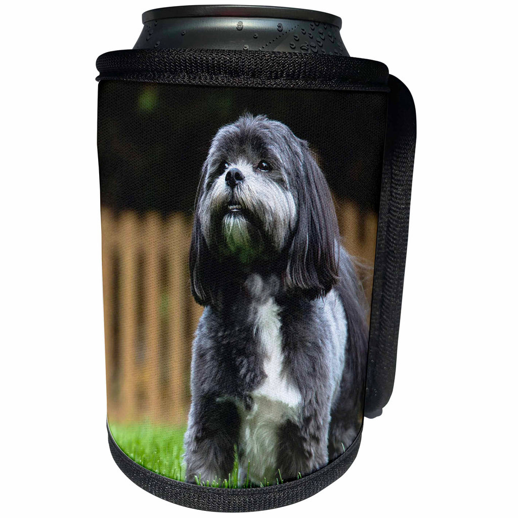 3dRose RinaPiro - Dogs - Chih Tzu. Black and white. Popular breed. Best friend. - Can Cooler Bottle Wrap (cc_238371)