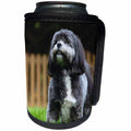 3dRose RinaPiro - Dogs - Chih Tzu. Black and white. Popular breed. Best friend. - Can Cooler Bottle Wrap (cc_238371)