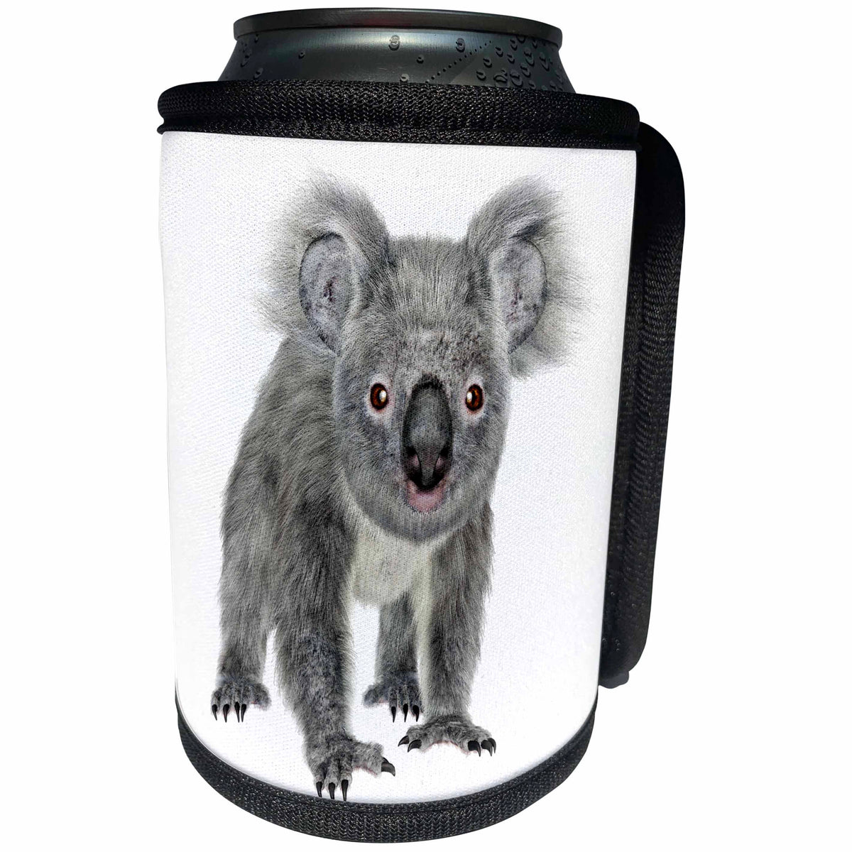 3dRose Boehm Graphics Animal - A Koala Looking to the Front - Can Cooler Bottle Wrap (cc_239387)