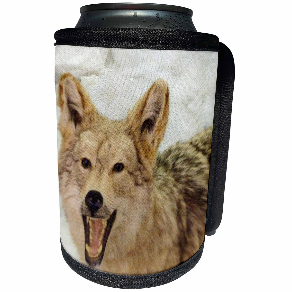 3dRose Florene Nature and Animals - Coyote Closeup - Can Cooler Bottle Wrap (cc_23952)