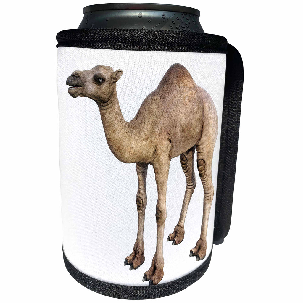 3dRose Boehm Graphics Animal - Dromedary Camel in Near Side Profile - Can Cooler Bottle Wrap (cc_239821)