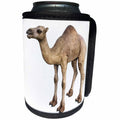 3dRose Boehm Graphics Animal - Dromedary Camel in Near Side Profile - Can Cooler Bottle Wrap (cc_239821)