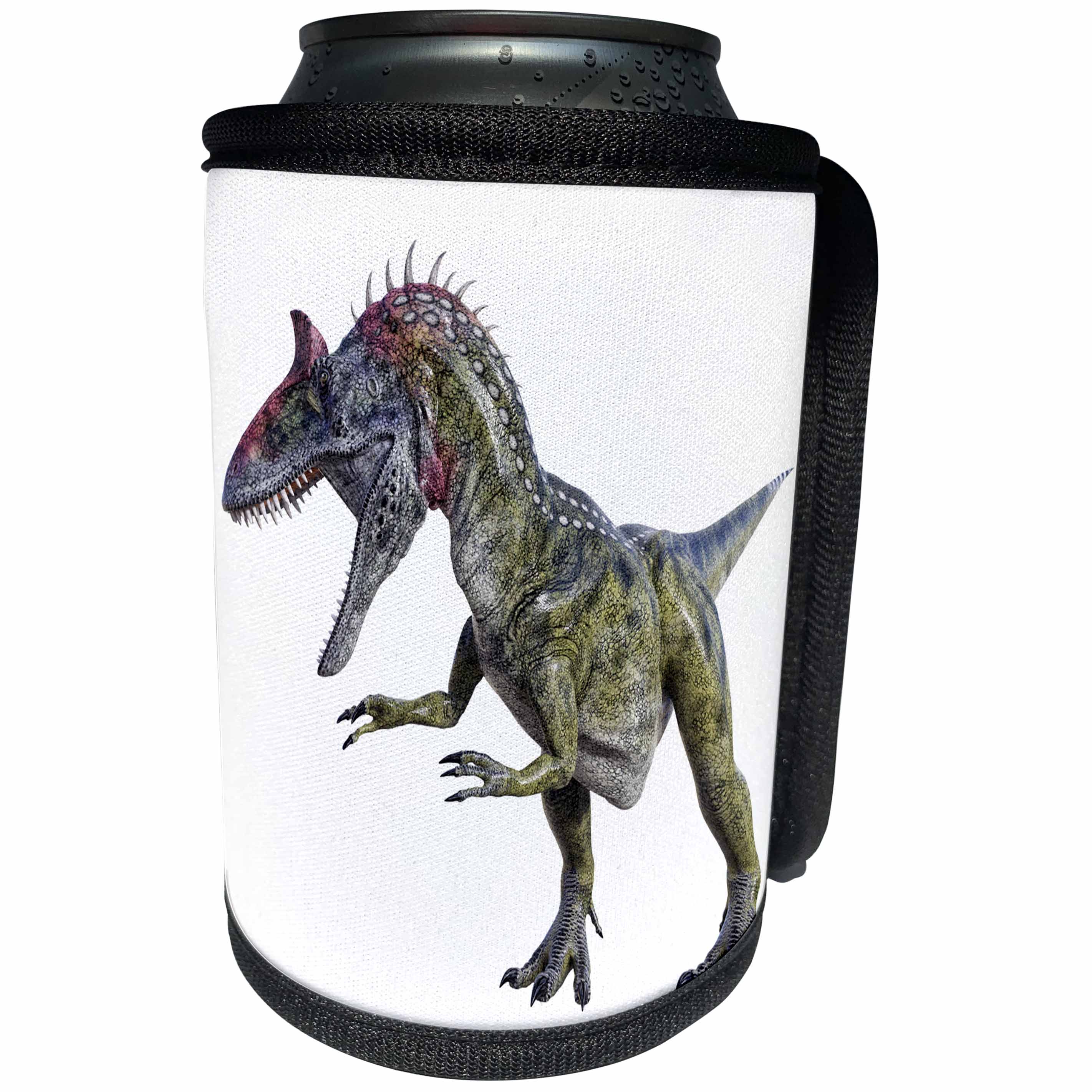 3dRose Boehm Graphics Dinosaur - Cryolophosaurus Dinosaur Running to the Right and Looking Down - Can Cooler Bottle Wrap (cc_239827)