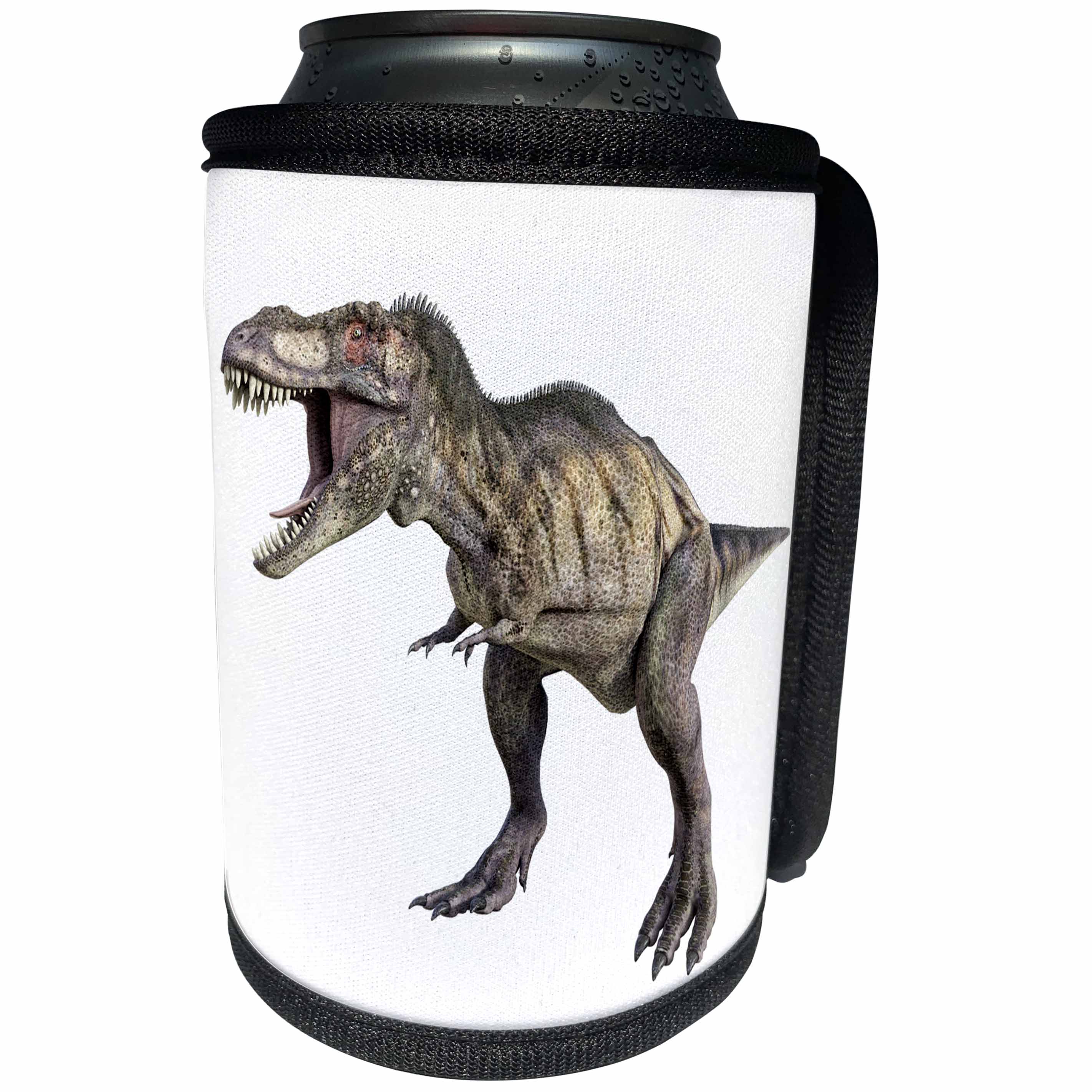 3dRose Boehm Graphics Dinosaur - Tyrannosaurus Rex Dinosaur Standing and Looking to the Right - Can Cooler Bottle Wrap (cc_239832)