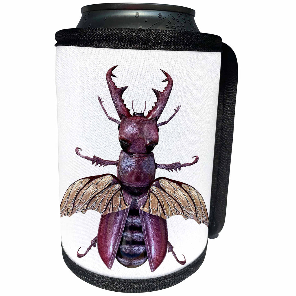 3dRose Boehm Graphics Insect - A Brown Stag Beetle with Wings Out - Can Cooler Bottle Wrap (cc_239841)