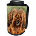 3dRose Sven Herkenrath Dog - Special Dog in the Wildlife with Love - Can Cooler Bottle Wrap (cc_240186)