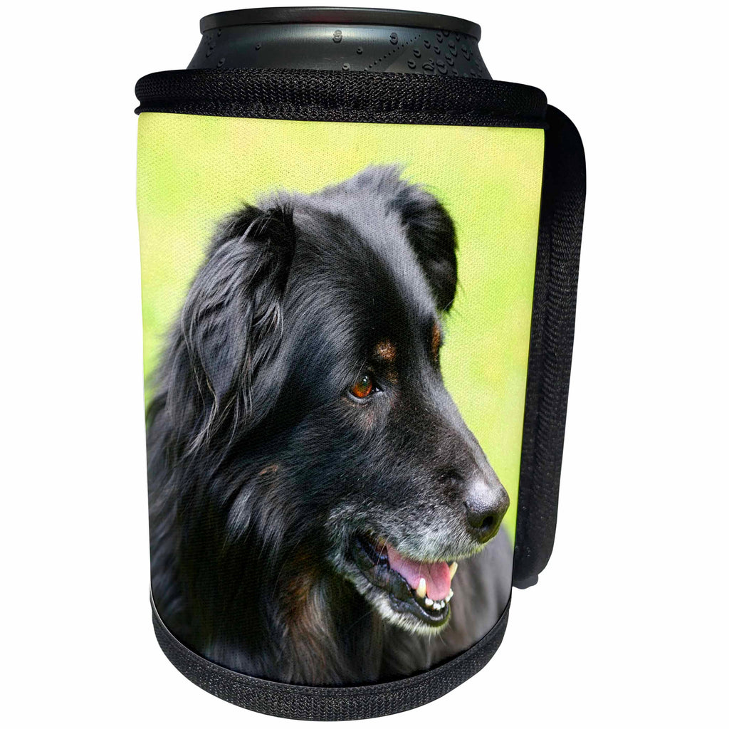 3dRose Sven Herkenrath Dog - Black Dog with Love and Yellow Background - Can Cooler Bottle Wrap (cc_240187)