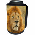 3dRose Sven Herkenrath Animal - Dangerous Lion in the Wildlife Nature - Can Cooler Bottle Wrap (cc_240199)