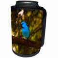 3dRose Sven Herkenrath Animal - Blue Bird in the Wildlife Nature - Can Cooler Bottle Wrap (cc_240215)