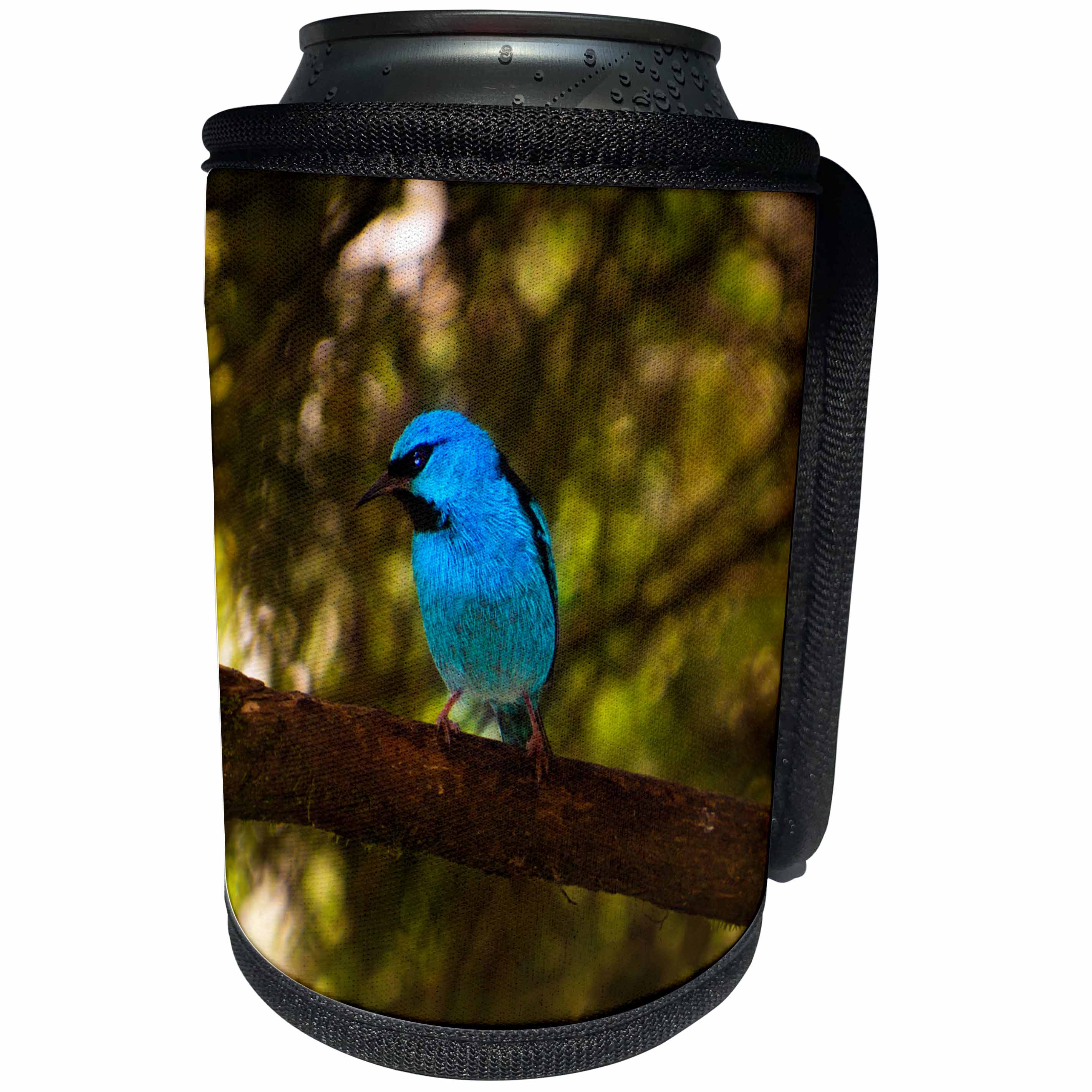 3dRose Sven Herkenrath Animal - Blue Bird in the Wildlife Nature - Can Cooler Bottle Wrap (cc_240215)