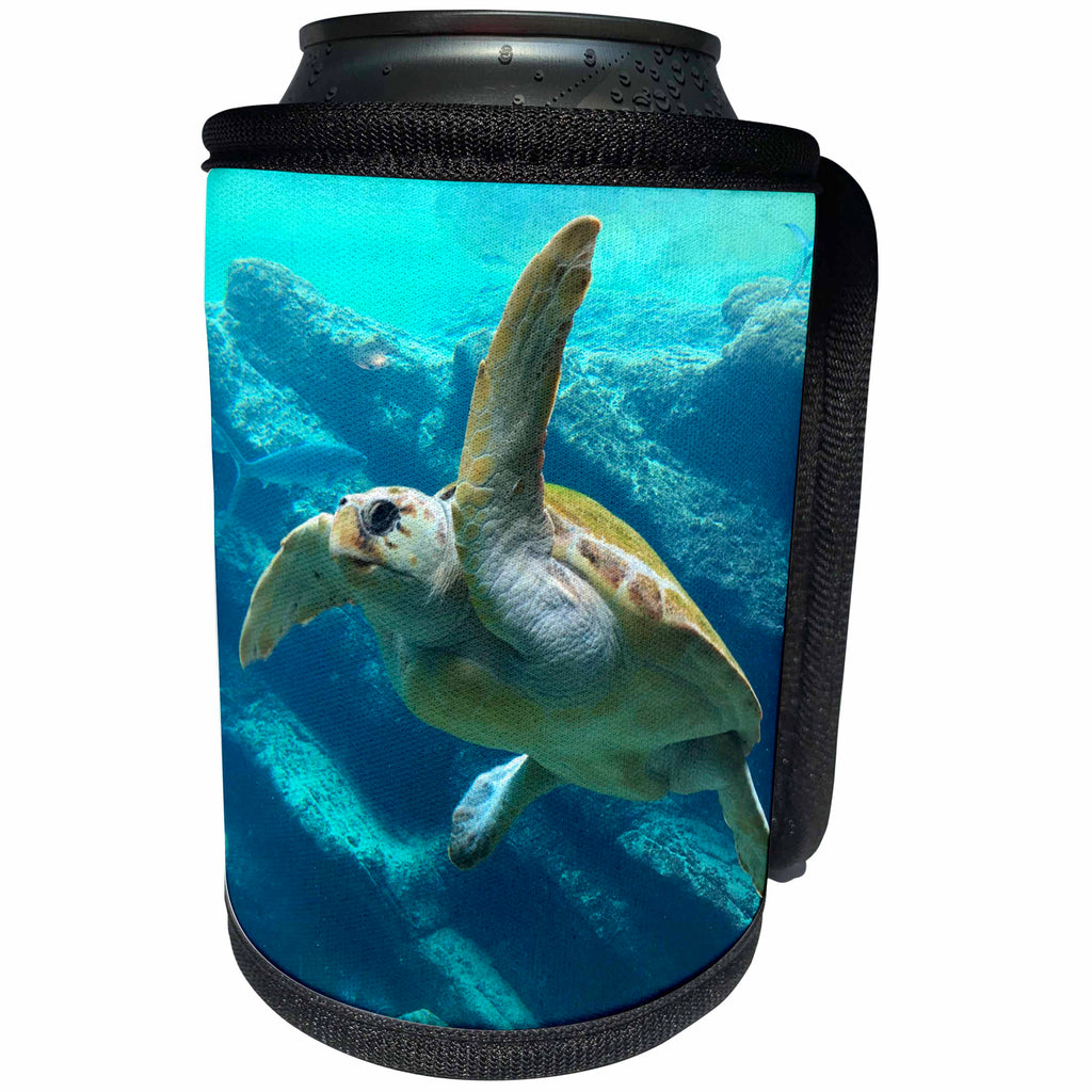 3dRose Sven Herkenrath Sealife - Water Turtle in the Sealife Ocean - Can Cooler Bottle Wrap (cc_240216)