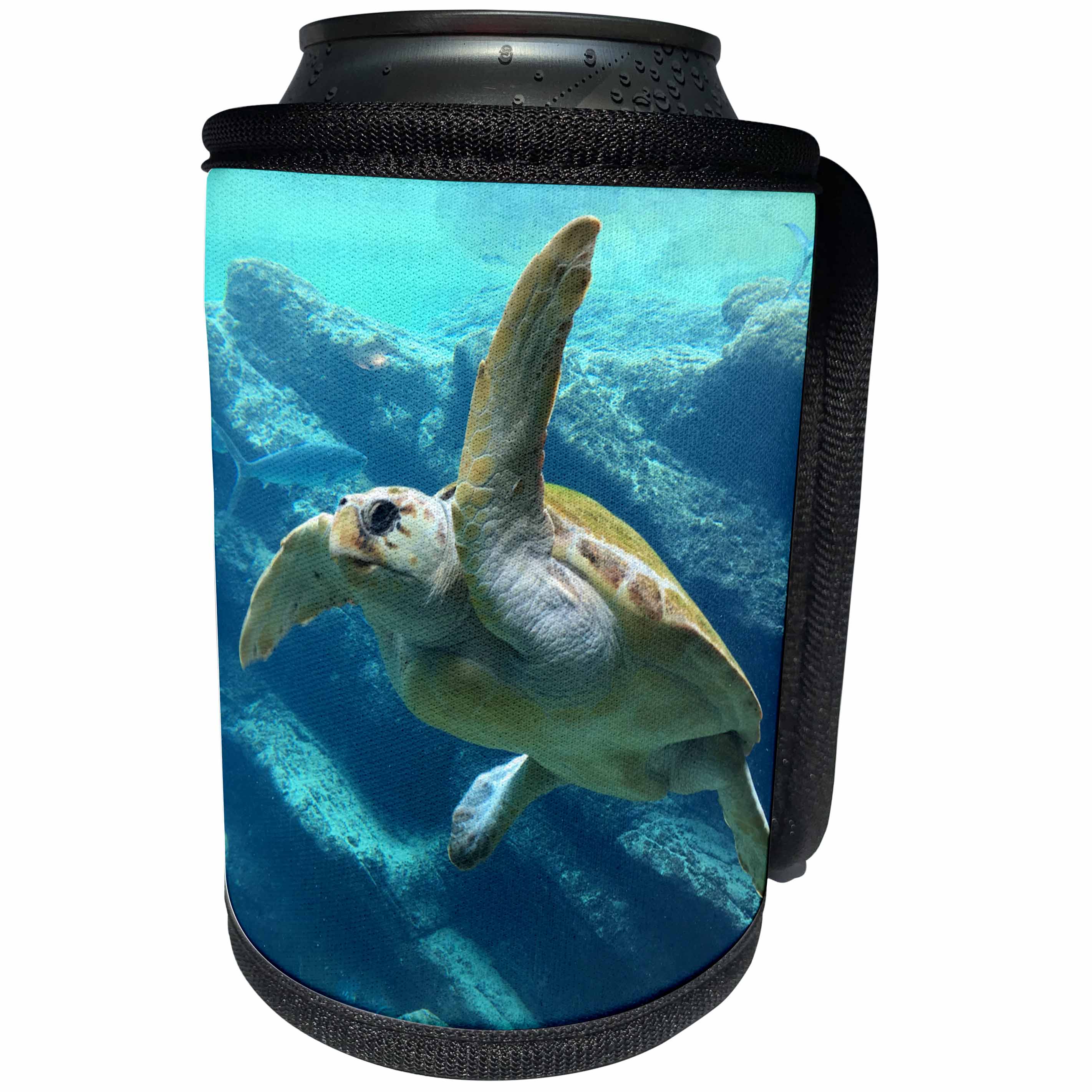 3dRose Sven Herkenrath Sealife - Water Turtle in the Sealife Ocean - Can Cooler Bottle Wrap (cc_240216)