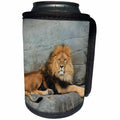 3dRose Sven Herkenrath Animal - Dangerous Lion in the Wildlife Nature - Can Cooler Bottle Wrap (cc_240232)