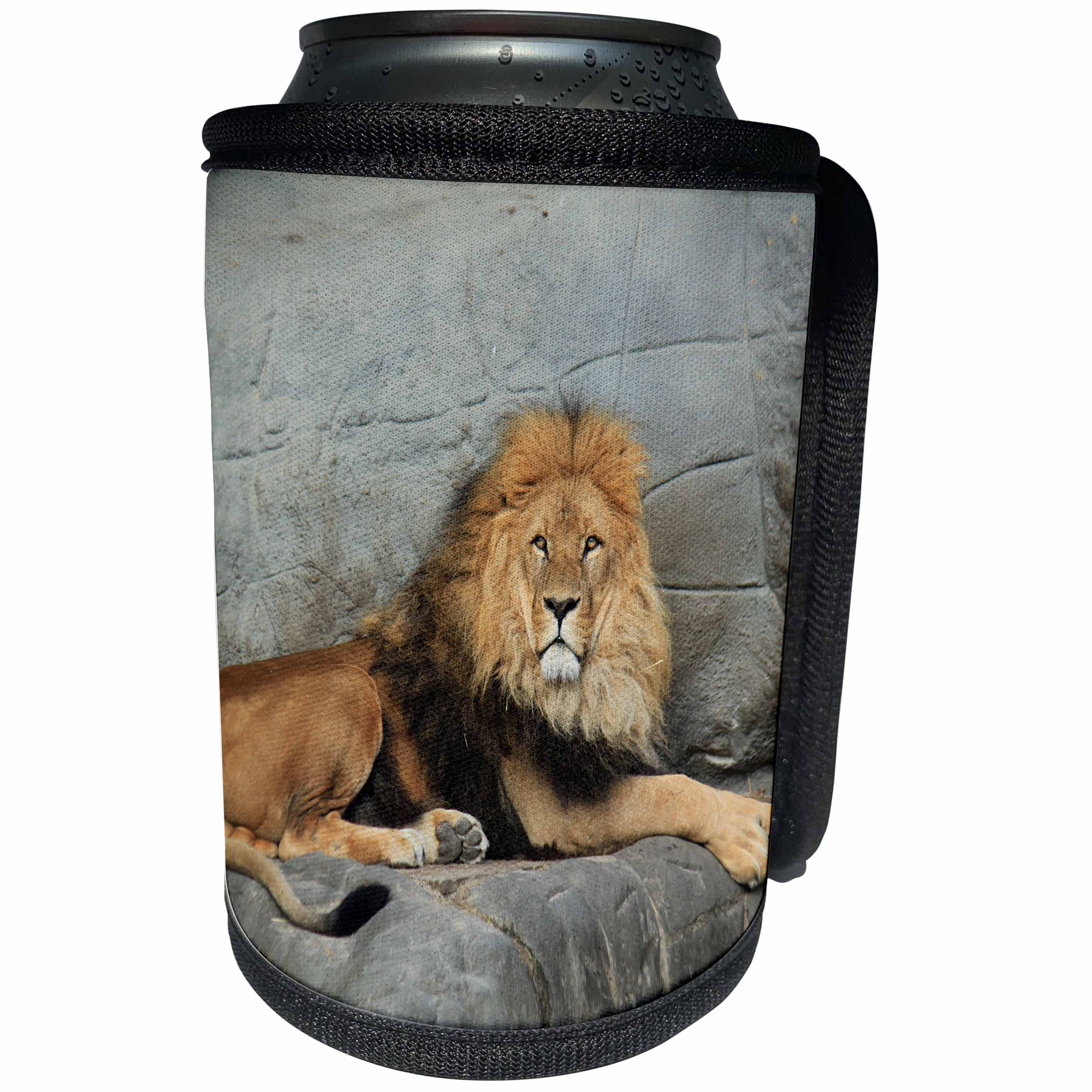 3dRose Sven Herkenrath Animal - Dangerous Lion in the Wildlife Nature - Can Cooler Bottle Wrap (cc_240232)