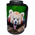 3dRose Sven Herkenrath Animal - Red Panda Bear in the Wildlife Nature Animal - Can Cooler Bottle Wrap (cc_240242)