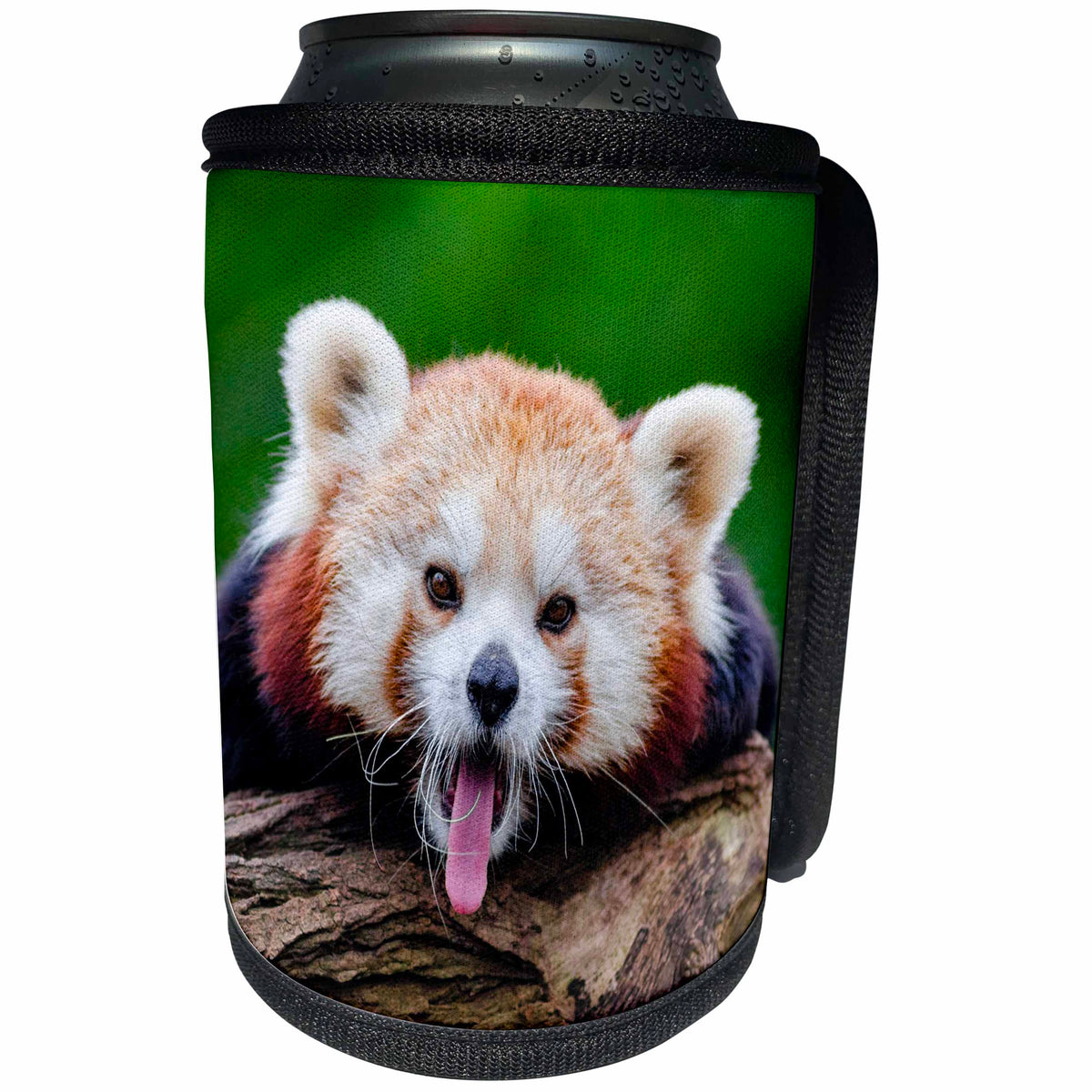 3dRose Sven Herkenrath Animal - Red Panda Bear in the Wildlife Nature Animal - Can Cooler Bottle Wrap (cc_240242)