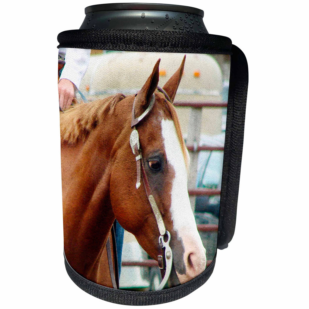 3dRose Cassie Peters Horses - Western Horse Show - Can Cooler Bottle Wrap (cc_240270)