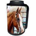 3dRose Cassie Peters Horses - Western Horse Show - Can Cooler Bottle Wrap (cc_240270)