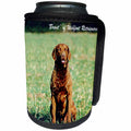 3dRose Dogs Chesapeake Bay Retriever - Chesapeake Bay Retriever - Can Cooler Bottle Wrap (cc_242)