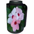 3dRose Taiche - Photography - Impatiens - Blooming Beautiful Pink Impatiens Flowers - Can Cooler Bottle Wrap (cc_243160)