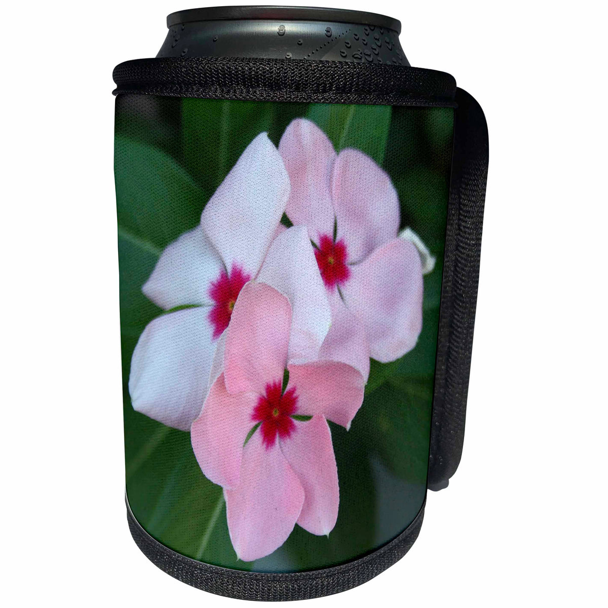 3dRose Taiche - Photography - Impatiens - Blooming Beautiful Pink Impatiens Flowers - Can Cooler Bottle Wrap (cc_243160)