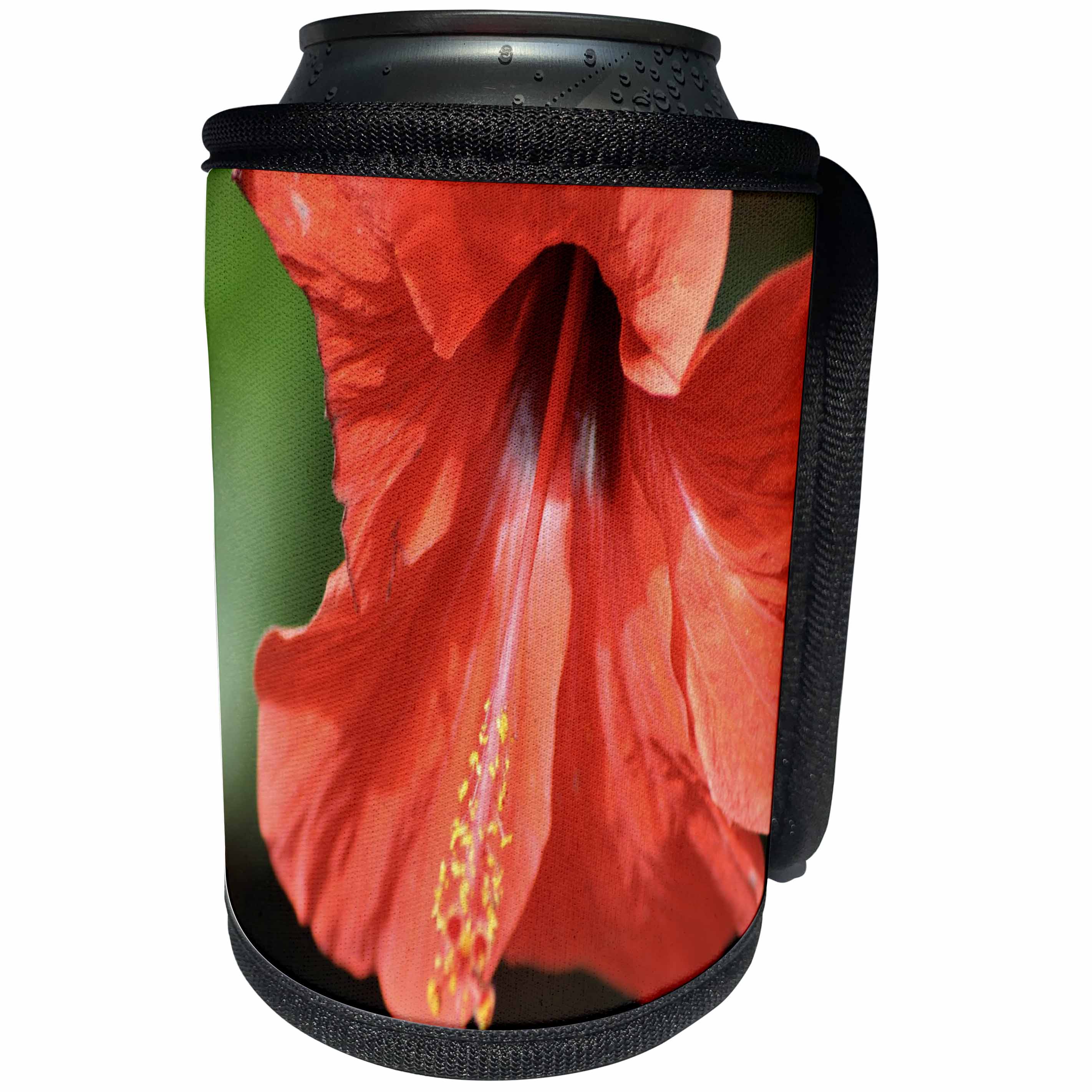 3dRose Taiche - Photography - Hibiscus - Red Petal and Anther with Pistil of Hibiscus Flower - Can Cooler Bottle Wrap (cc_243162)