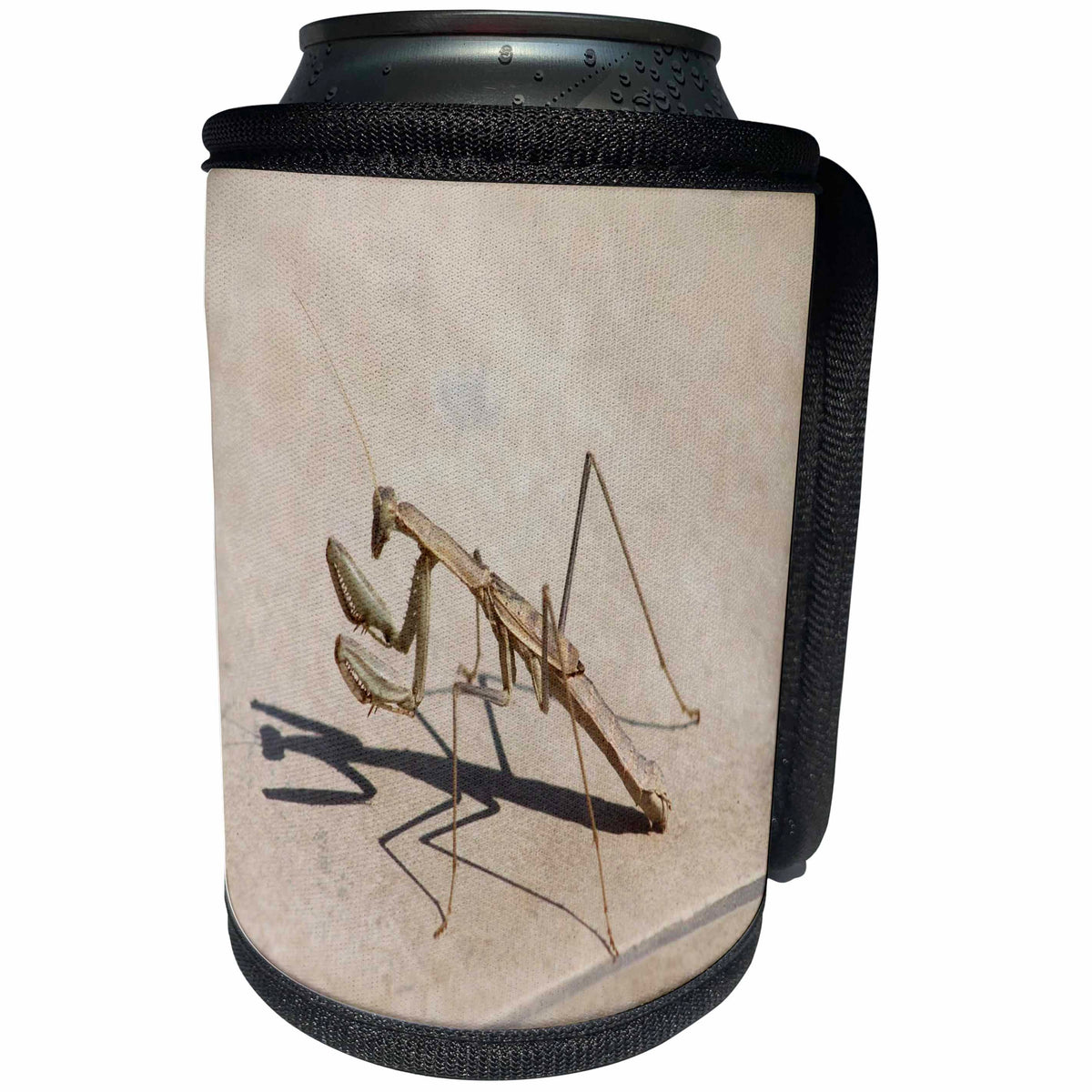 3dRose Taiche - Photography - Insects - Praying Mantis and Shadow - Can Cooler Bottle Wrap (cc_243163)