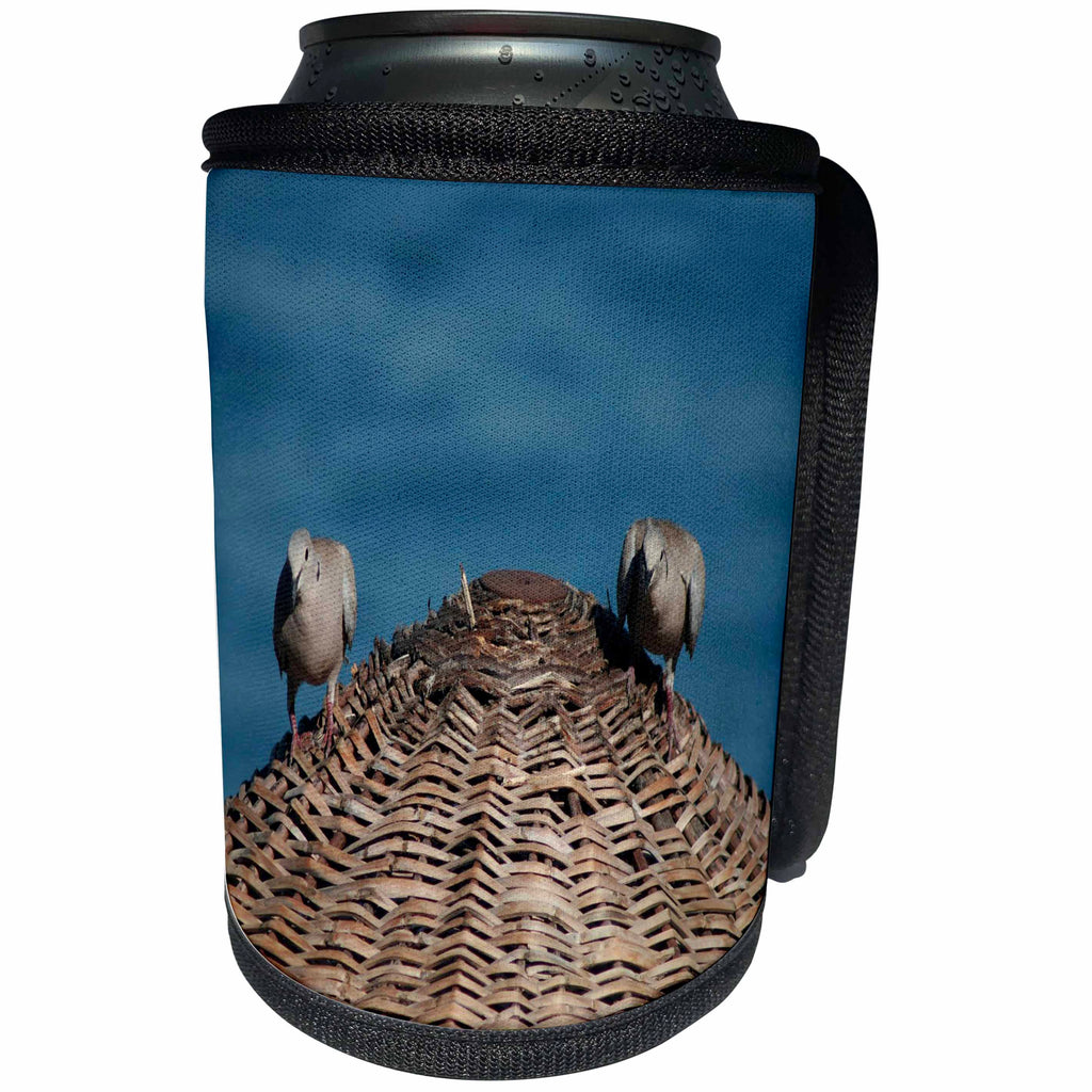 3dRose Taiche - Photography - Birds - A Pair Of Doves On A Woven Sun Parasol - Can Cooler Bottle Wrap (cc_243168)