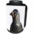 3dRose Taiche - Photography - Birds - Jackdaw Corvus monedula Bird Portrait - Can Cooler Bottle Wrap (cc_243172)