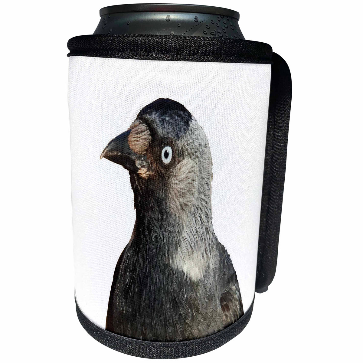 3dRose Taiche - Photography - Birds - Jackdaw Corvus monedula Bird Portrait - Can Cooler Bottle Wrap (cc_243172)