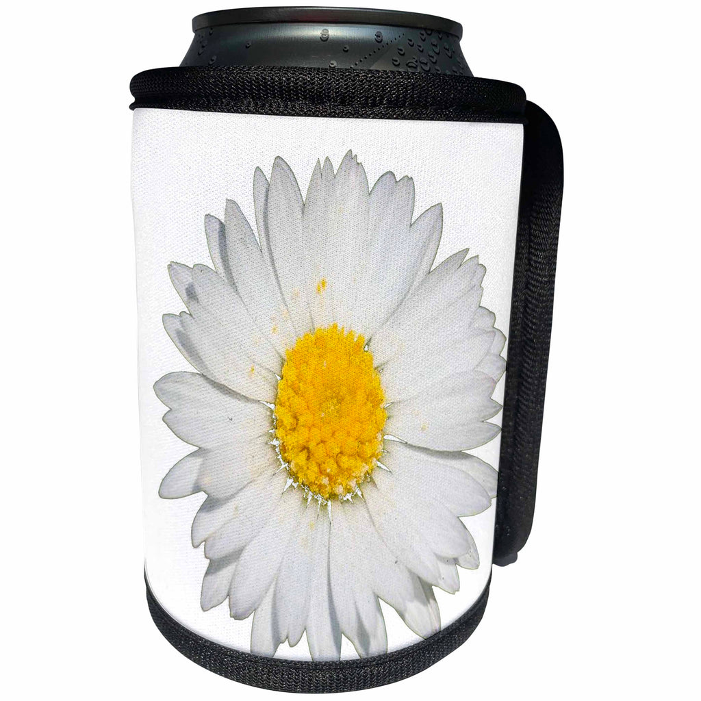 3dRose Taiche - Photography - Daisy - Close up of a Beautiful Yellow and White Daisy flower Isolated - Can Cooler Bottle Wrap (cc_243184)