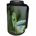 3dRose Taiche - Vector - Praying Mantis - Green Mantis With Garden Background Vector - Can Cooler Bottle Wrap (cc_243208)