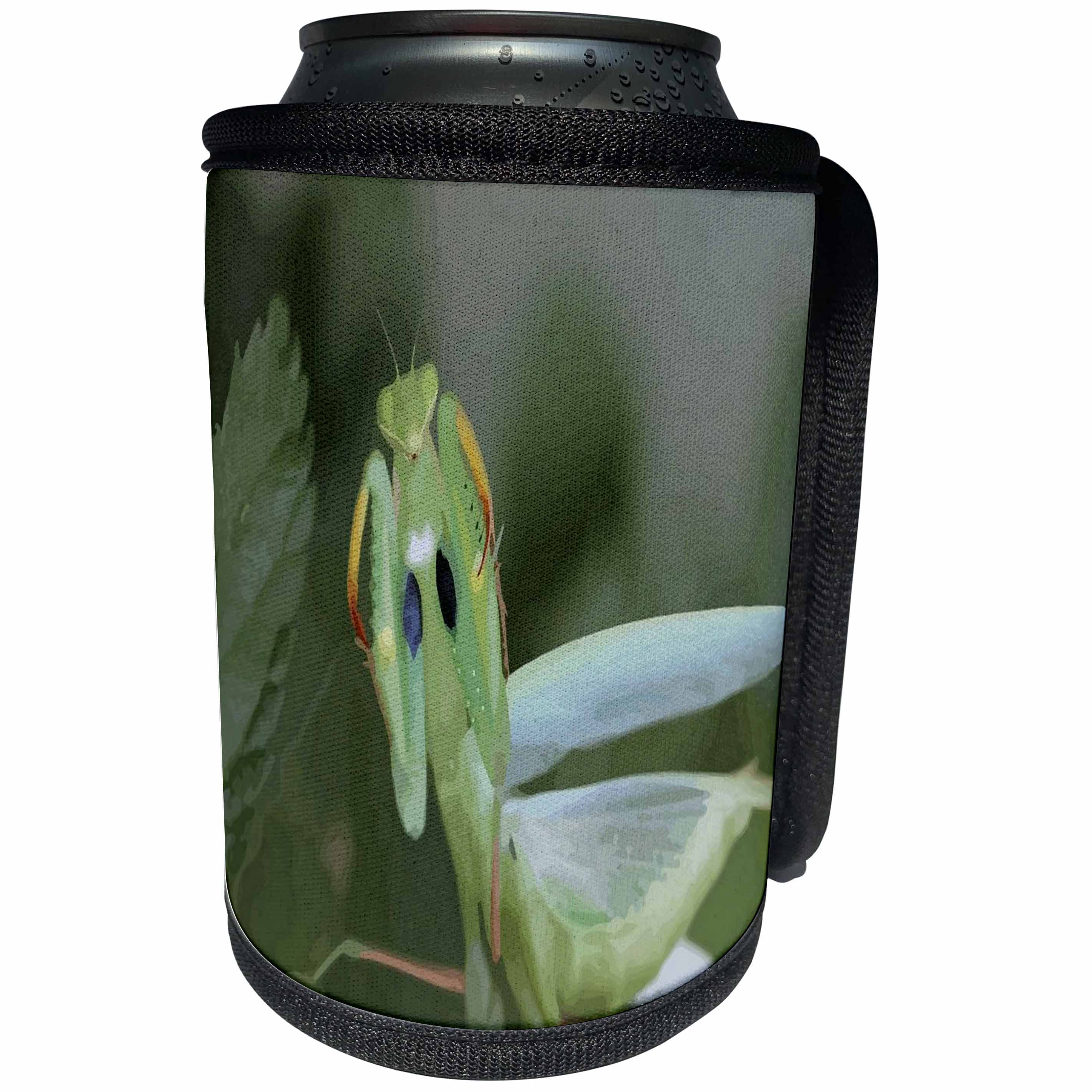 3dRose Taiche - Vector - Praying Mantis - Green Mantis With Garden Background Vector - Can Cooler Bottle Wrap (cc_243208)