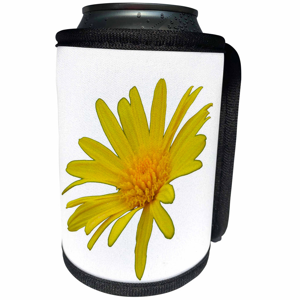 3dRose Taiche - Photography - Daisy - Yellow Daisy Flower Isolated - Can Cooler Bottle Wrap (cc_243210)