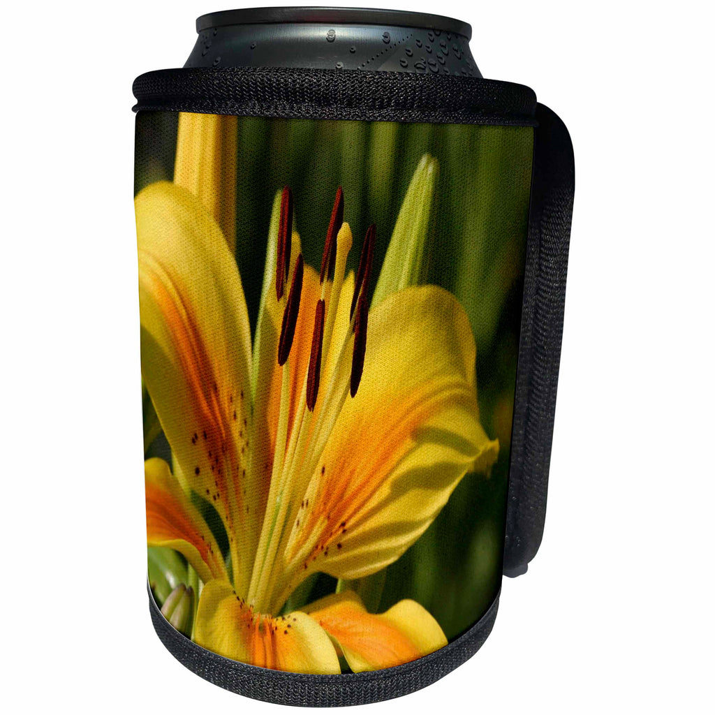 3dRose Taiche - Photography - Lilies - Beautiful Yellow Lily - Can Cooler Bottle Wrap (cc_243212)